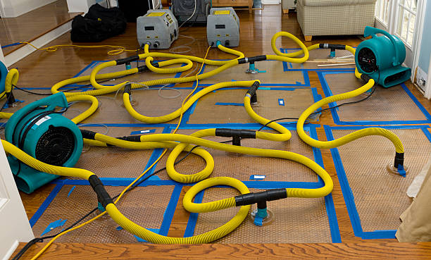 Professional Burst Pipe Water Damage technician working in Molena, GA